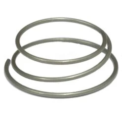 Dt-swiss DT Swiss Ratchet Fjeder - 1 Stk - HXDXXX00N1087S