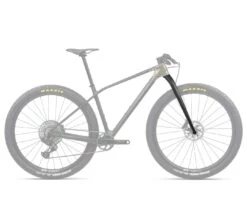 Orbea Spirit Forgaffel 29" Boost 15x110 - Carbon Raw/Titan Gold