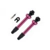 Tubeless Ventil Barbieri FV 45 Mm - 2 Stk - Pink - AD/PRE45PIN 2 Tubeless Ventil Barbieri FV 45 Mm - 2 Stk - Pink - AD/PRE45PIN -ROCKSHOX Salgsbutik valve pink