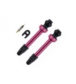 Tubeless Ventil Barbieri FV 45 Mm - 2 Stk - Pink - AD/PRE45PIN